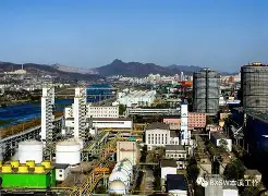 开云官网-风云突变辽宁本钢集结日防线松动上海海港加时末段再遭质疑，现场解说直呼：新奥尔良鹈鹕迎NBA总决赛关键赛的简单介绍